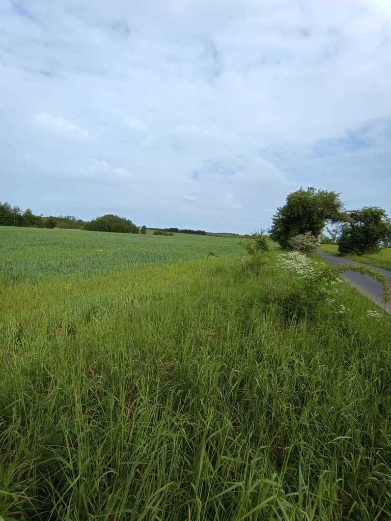 Działka na sprzedaż Myśliborzyce 35 500 m2 | Arka Nieruchomości
