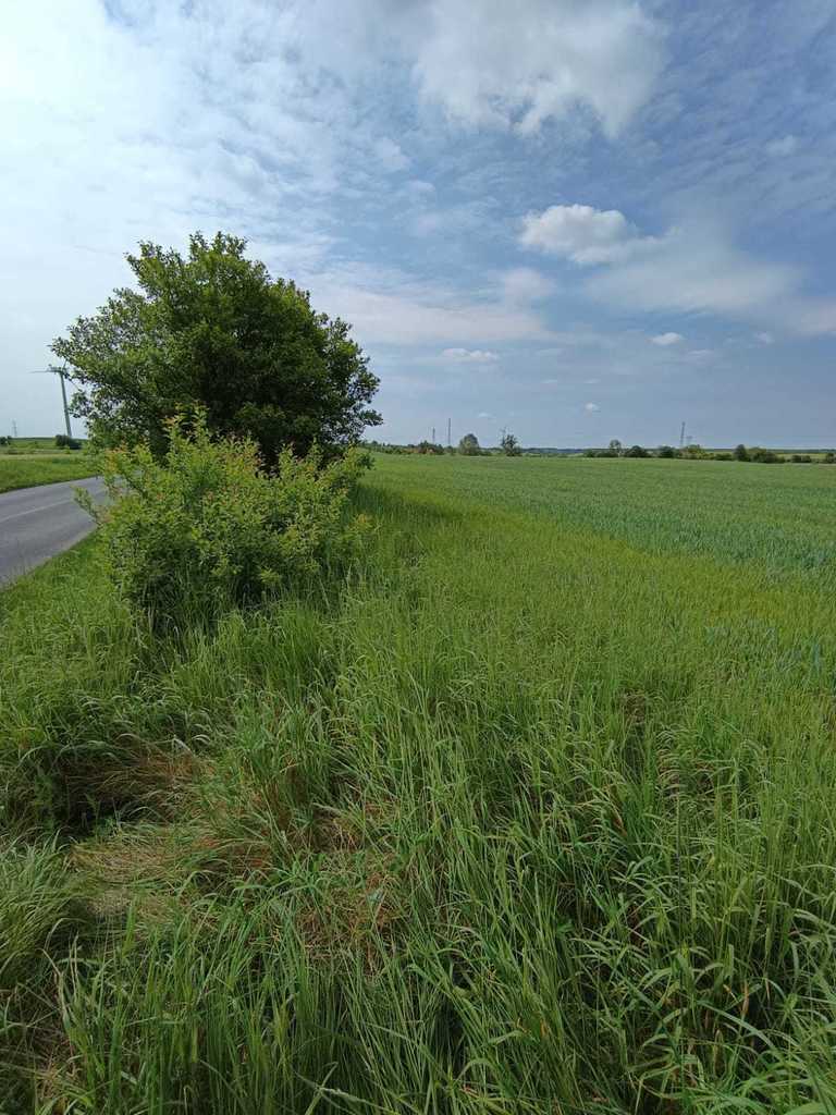 Działka na sprzedaż Myśliborzyce 35 500 m2 | Arka Nieruchomości