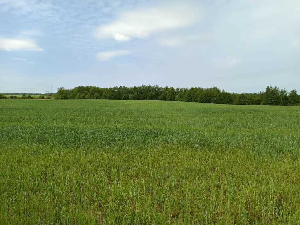 Działka na sprzedaż Myśliborzyce 35 500 m2 | Arka Nieruchomości