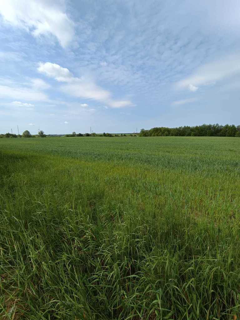 Działka na sprzedaż Myśliborzyce 35 500 m2 | Arka Nieruchomości