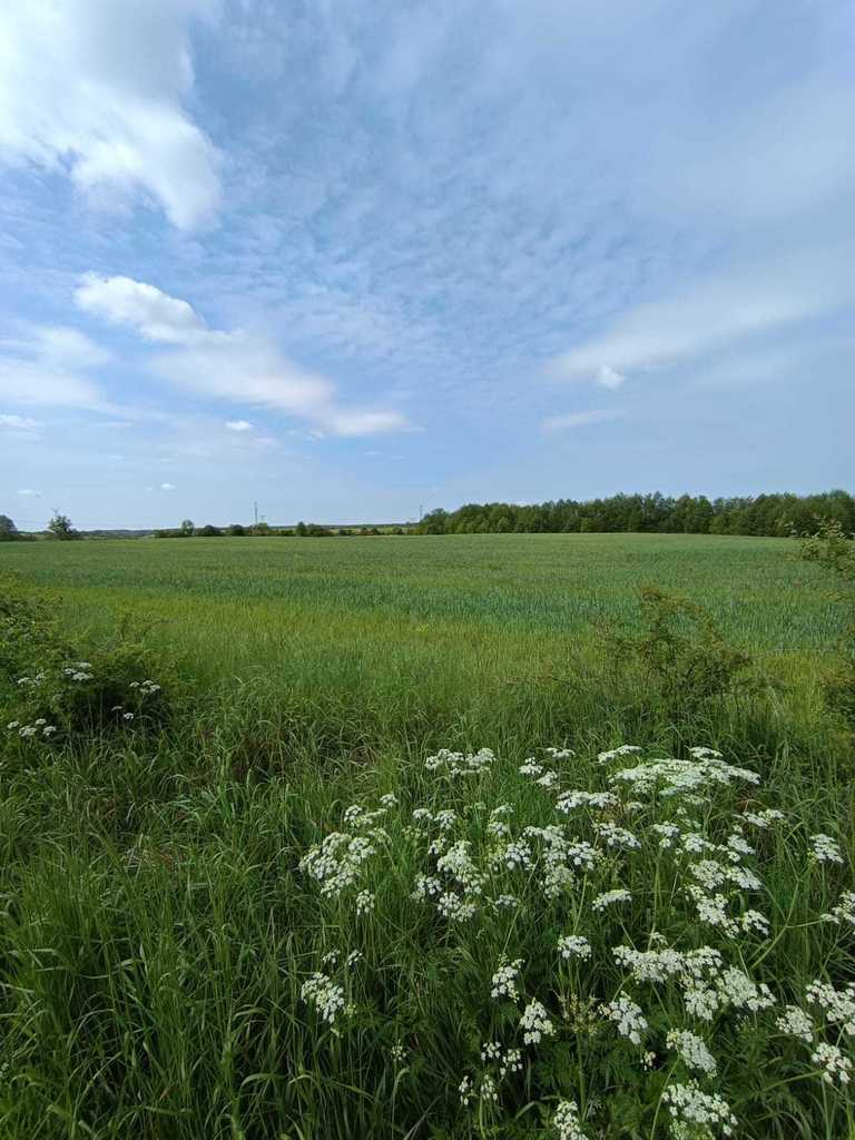 Działka na sprzedaż Myśliborzyce 35 500 m2 | Arka Nieruchomości