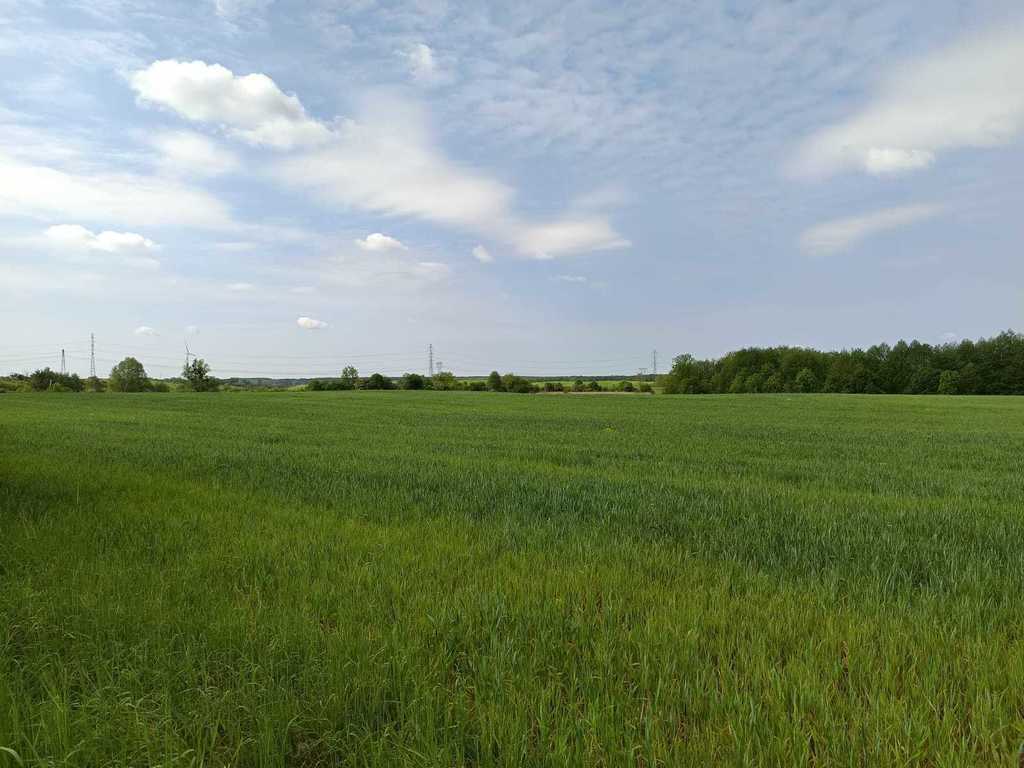 Działka na sprzedaż Myśliborzyce 35 500 m2 | Arka Nieruchomości