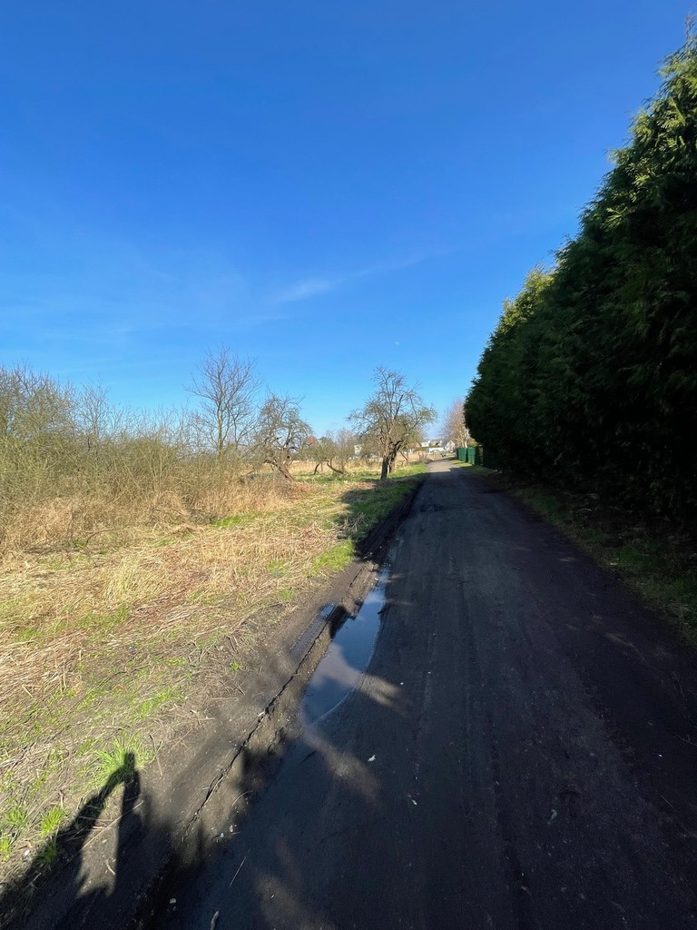 Działka na sprzedaż Trzebież 4 800 m2 | Arka Nieruchomości