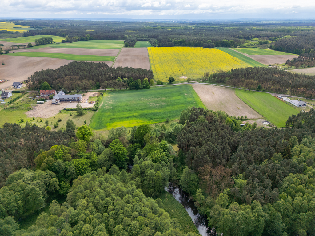 Obiekt na sprzedaż Gudzisz 1 050 m2 | Arka Nieruchomości