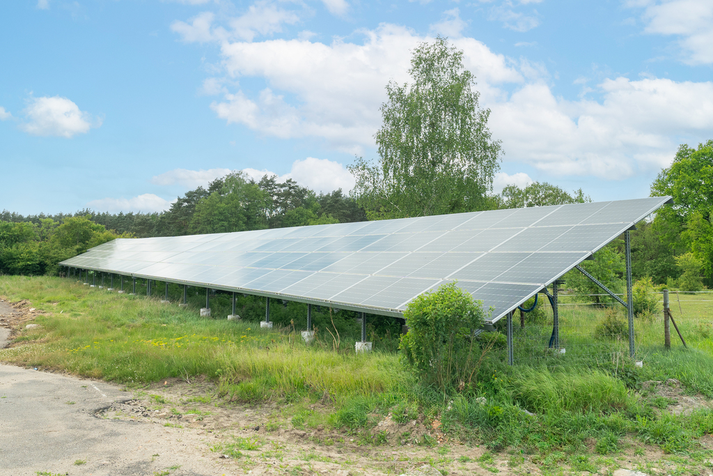 Obiekt na sprzedaż Gudzisz 1 050 m2 | Arka Nieruchomości
