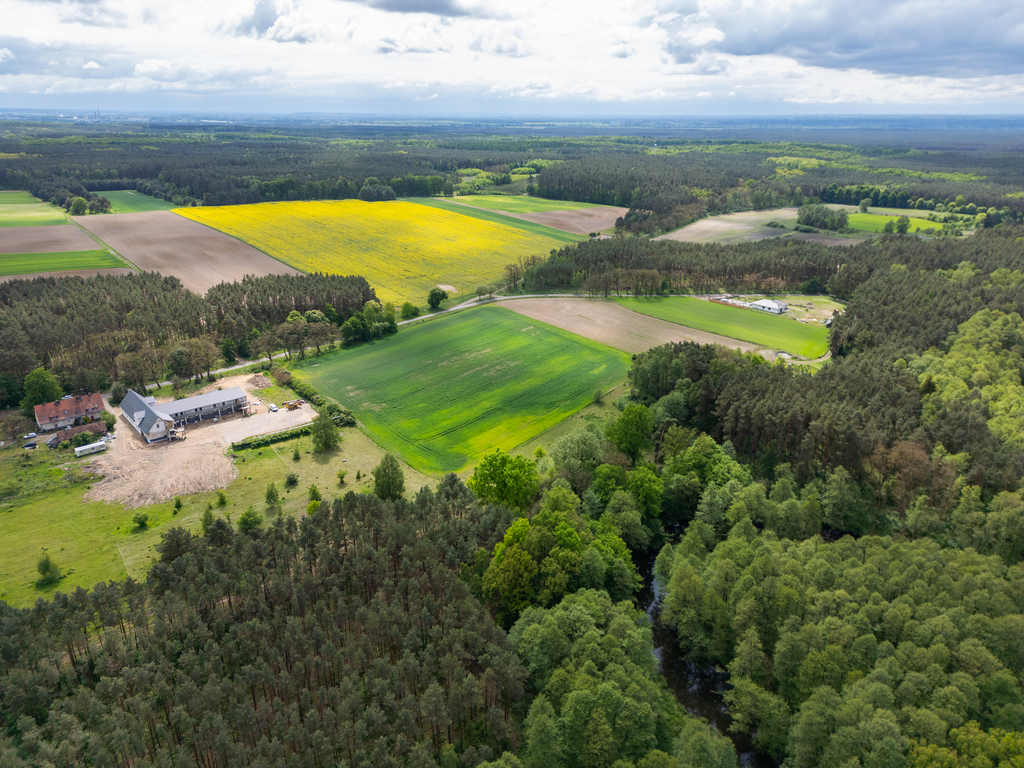 Obiekt na sprzedaż Gudzisz 1 050 m2 | Arka Nieruchomości