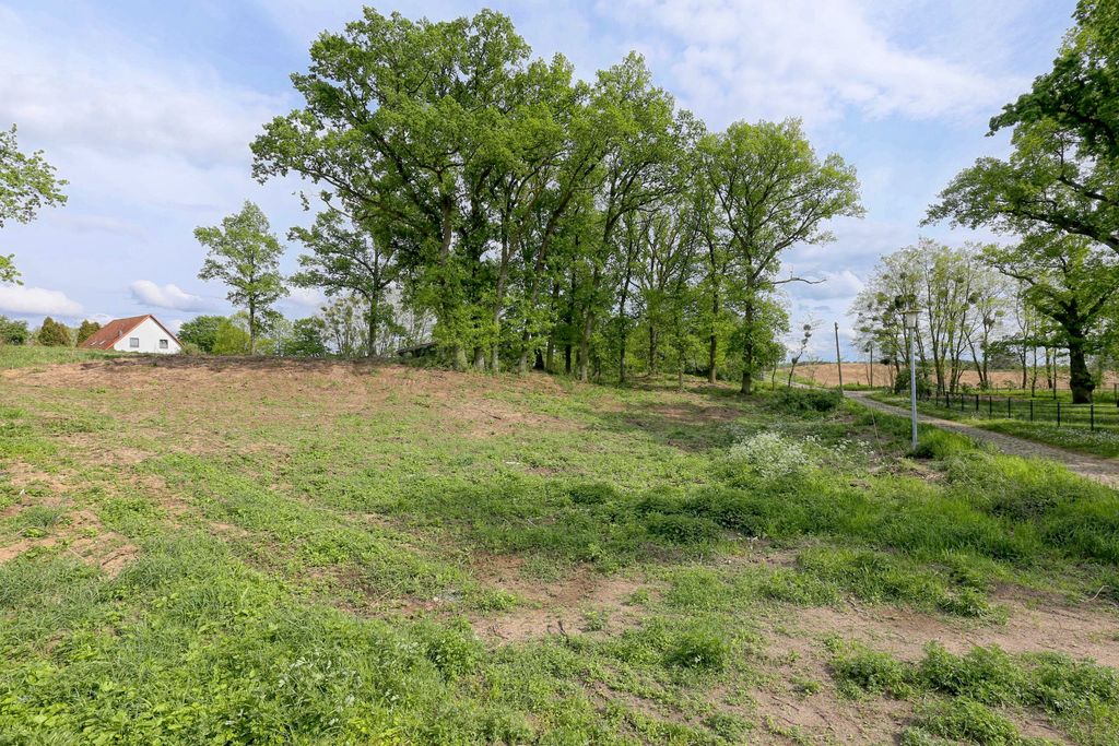 Działka na sprzedaż Dołuje 1 611 m2 | Arka Nieruchomości