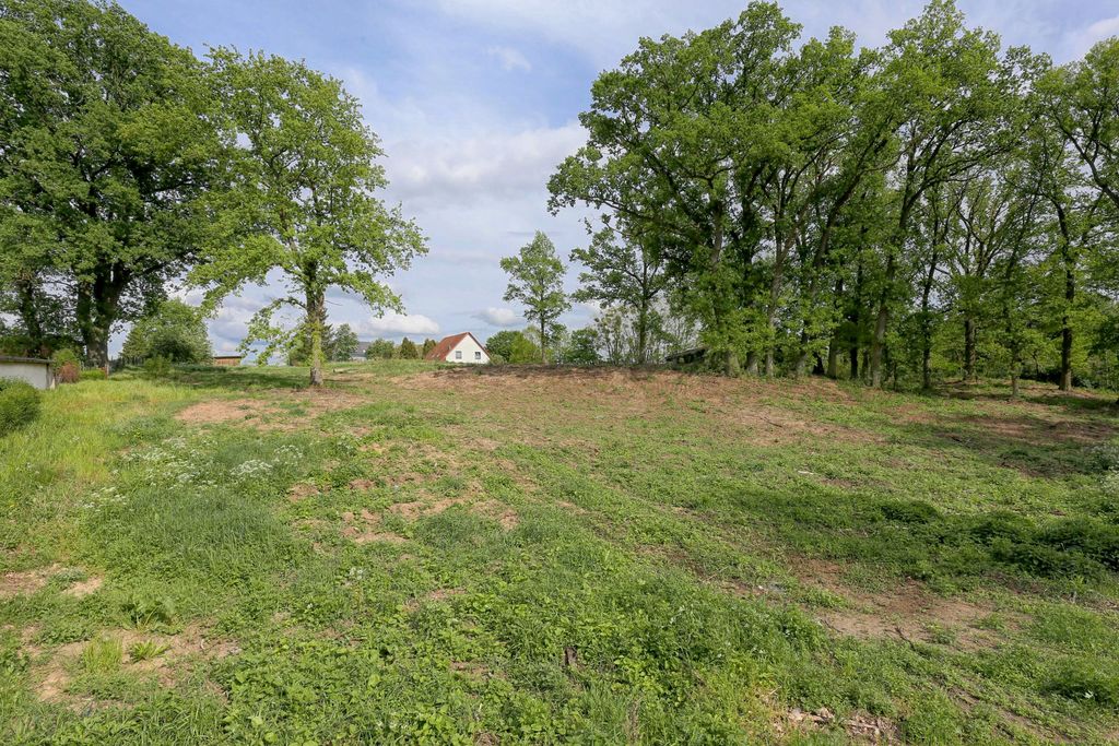 Działka na sprzedaż Dołuje 1 611 m2 | Arka Nieruchomości