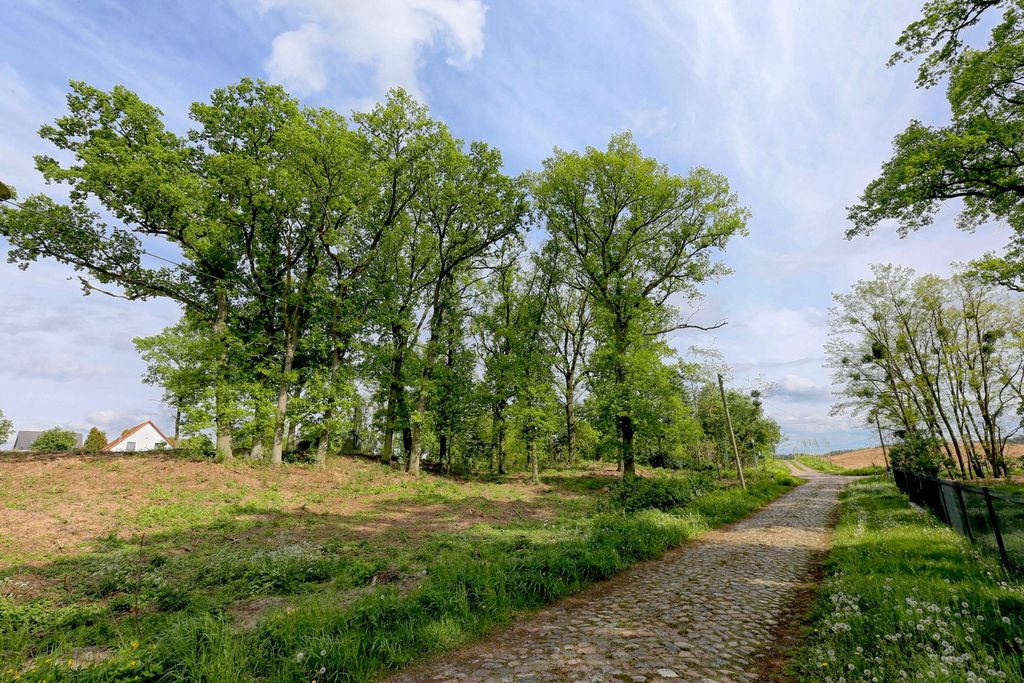 Działka na sprzedaż Dołuje 1 611 m2 | Arka Nieruchomości