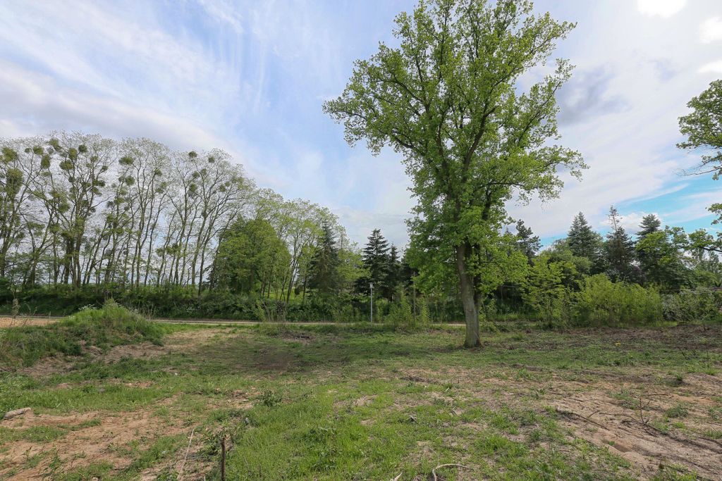 Działka na sprzedaż Dołuje 1 611 m2 | Arka Nieruchomości