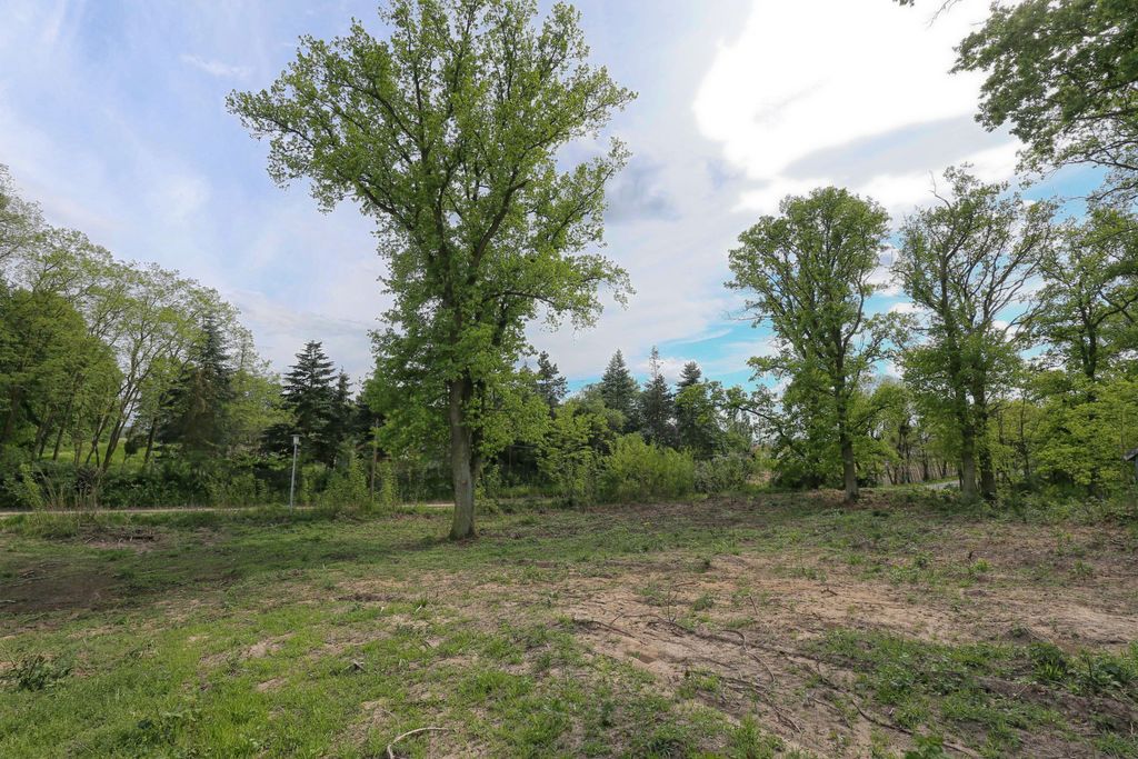 Działka na sprzedaż Dołuje 1 611 m2 | Arka Nieruchomości