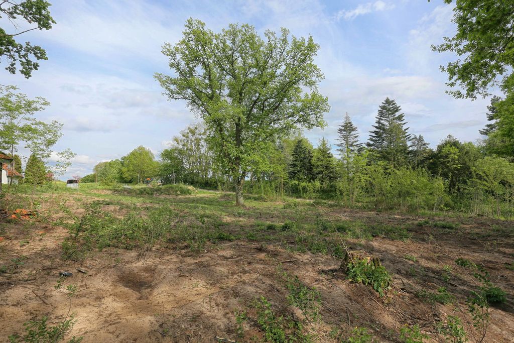 Działka na sprzedaż Dołuje 1 611 m2 | Arka Nieruchomości