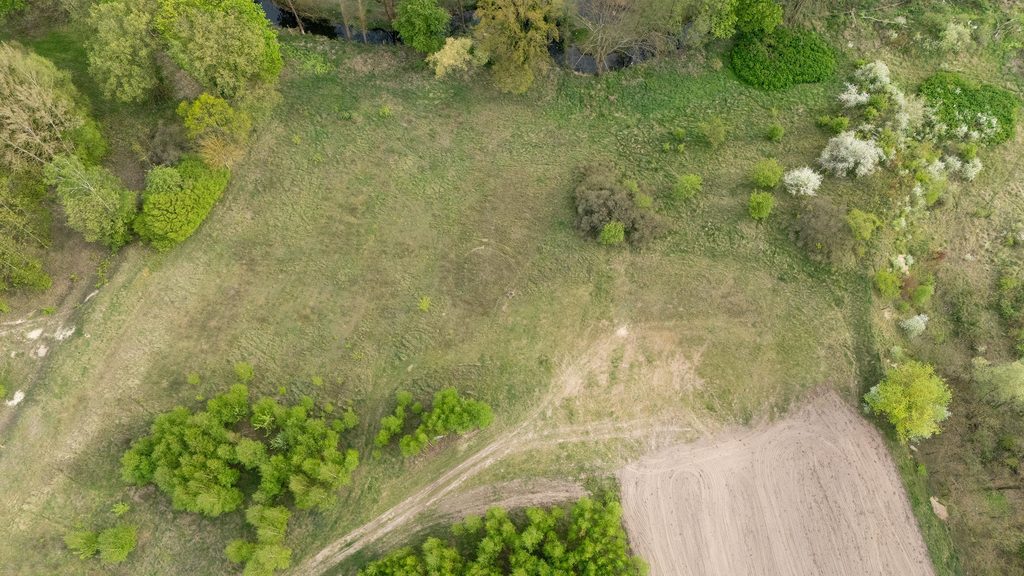 Działka na sprzedaż Moryń 2 289 m2 | Arka Nieruchomości