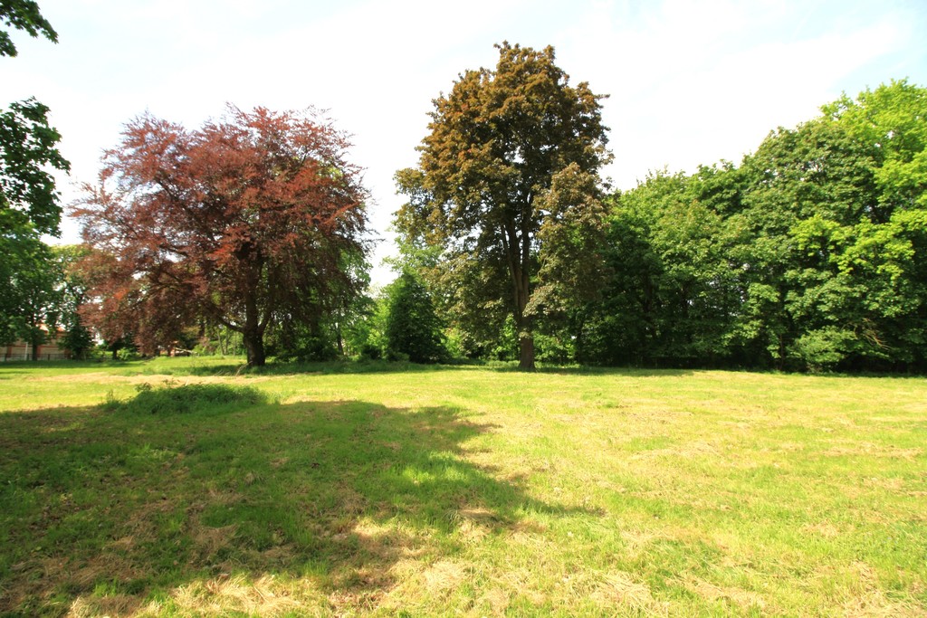 Obiekt na sprzedaż Strzyżno 1 680 m2 | Arka Nieruchomości
