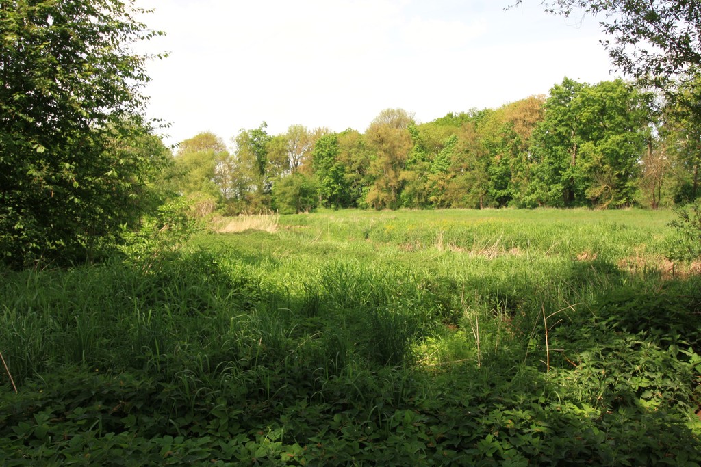 Obiekt na sprzedaż Strzyżno 1 680 m2 | Arka Nieruchomości
