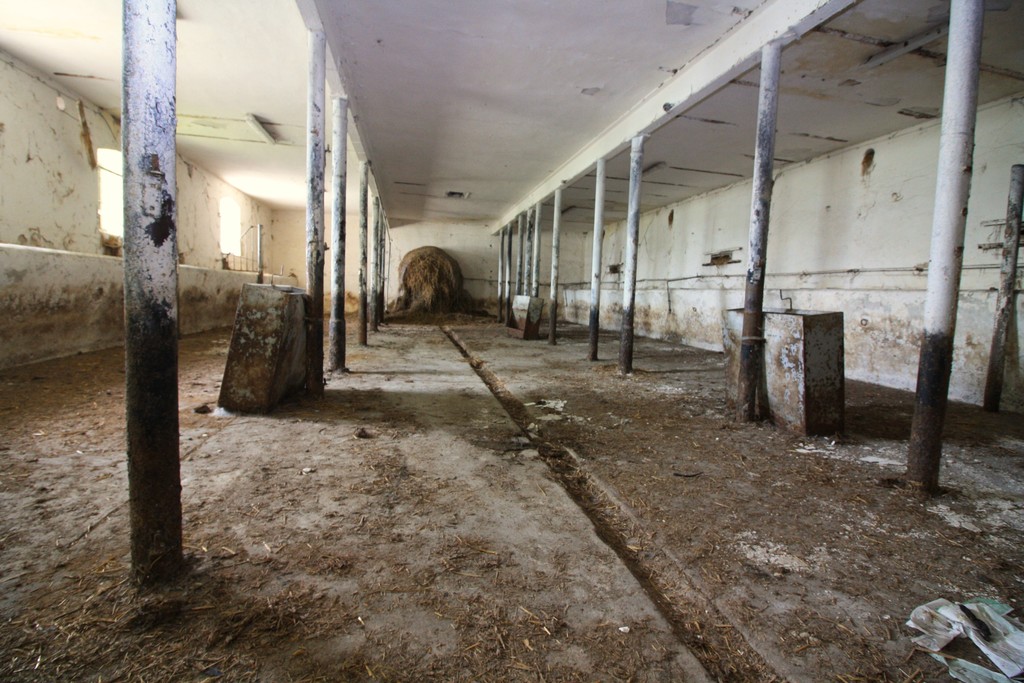 Obiekt na sprzedaż Kurcewo 1 980 m2 | Arka Nieruchomości