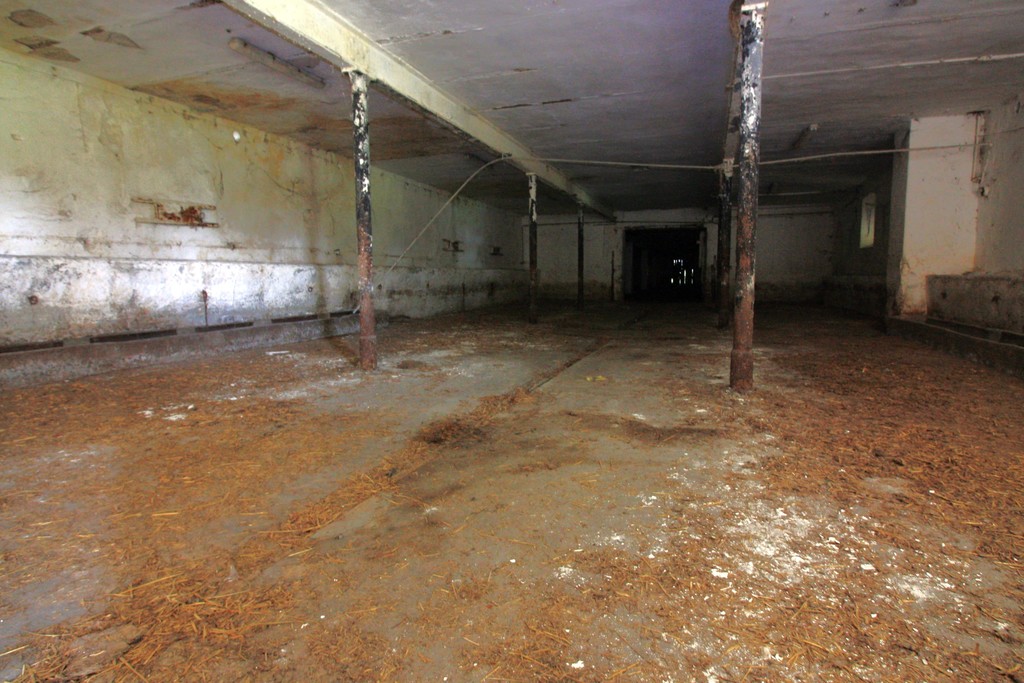 Obiekt na sprzedaż Kurcewo 1 980 m2 | Arka Nieruchomości