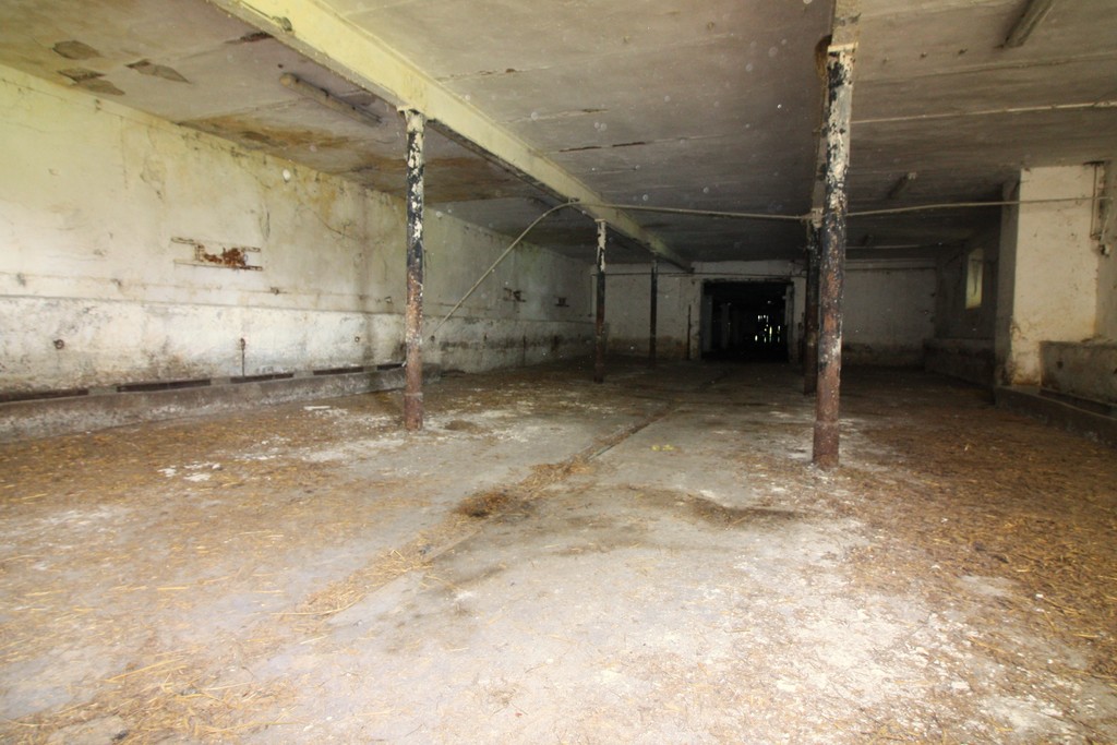 Obiekt na sprzedaż Kurcewo 1 980 m2 | Arka Nieruchomości
