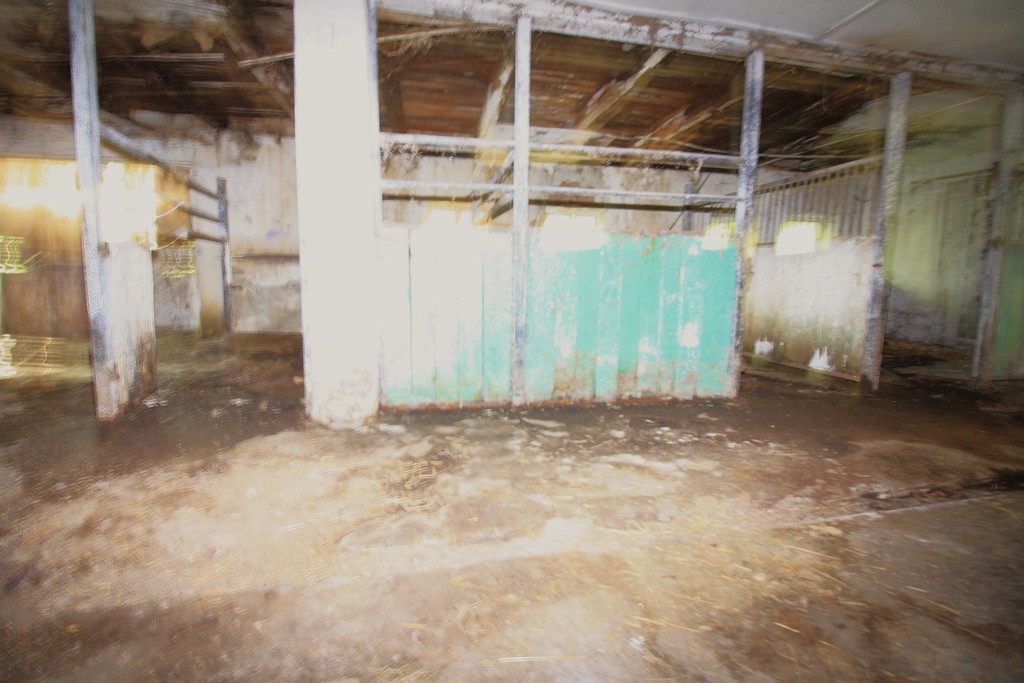 Obiekt na sprzedaż Kurcewo 1 980 m2 | Arka Nieruchomości