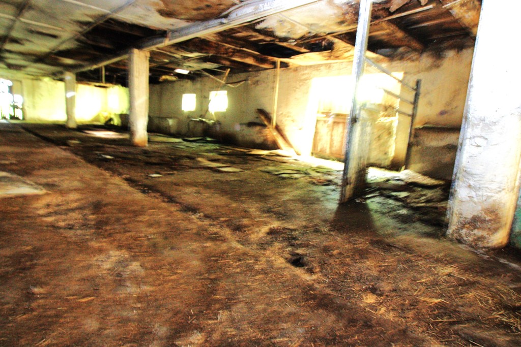 Obiekt na sprzedaż Kurcewo 1 980 m2 | Arka Nieruchomości