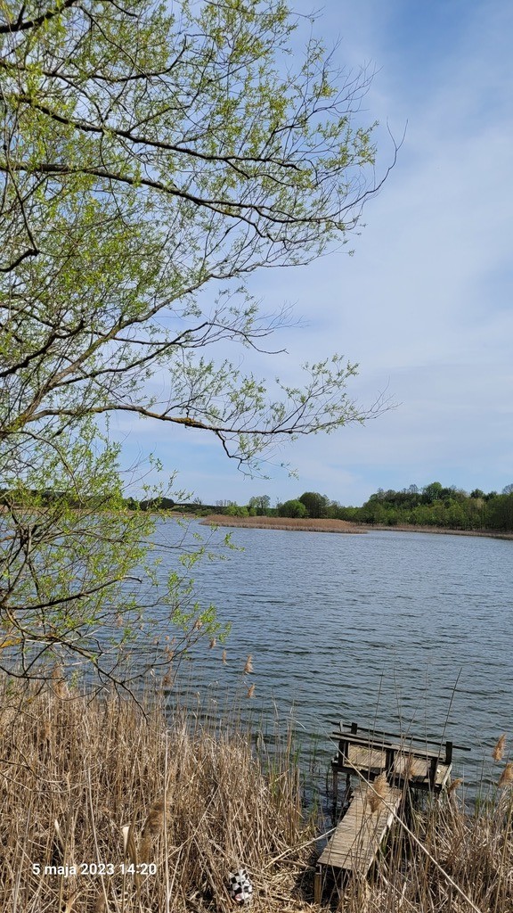 Działka na sprzedaż Zieleniewo 3 030 m2 | Arka Nieruchomości