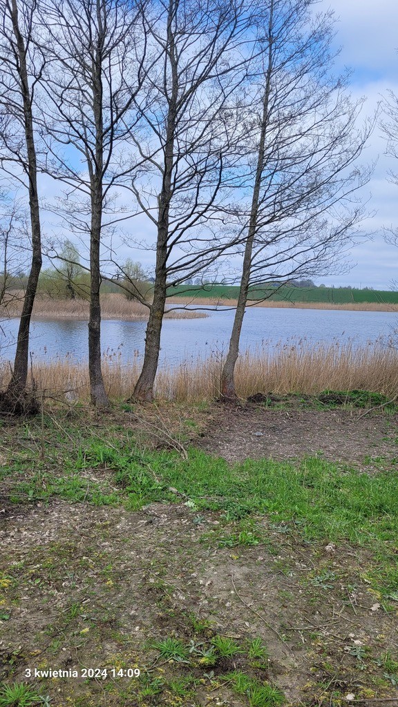 Działka na sprzedaż Zieleniewo 3 030 m2 | Arka Nieruchomości