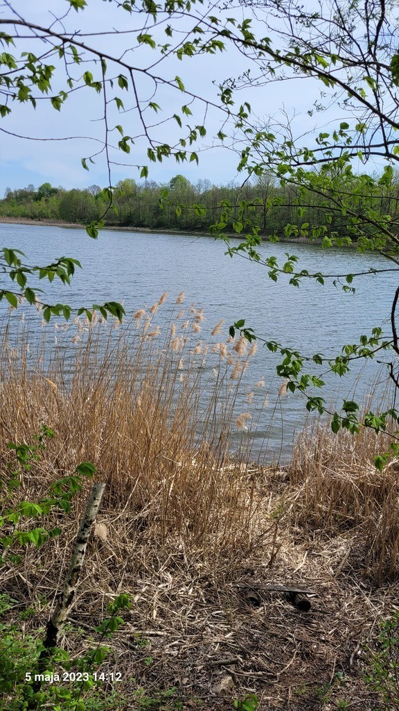 Działka na sprzedaż Zieleniewo 3 030 m2 | Arka Nieruchomości