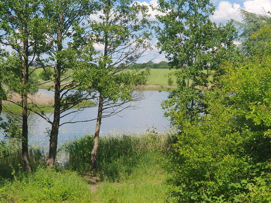 Działka na sprzedaż Zieleniewo 3 030 m2 | Arka Nieruchomości