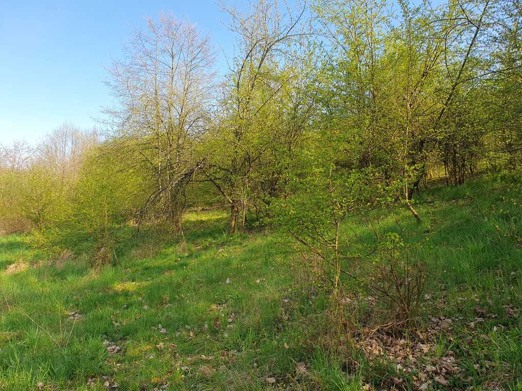 Działka na sprzedaż Zieleniewo 3 030 m2 | Arka Nieruchomości