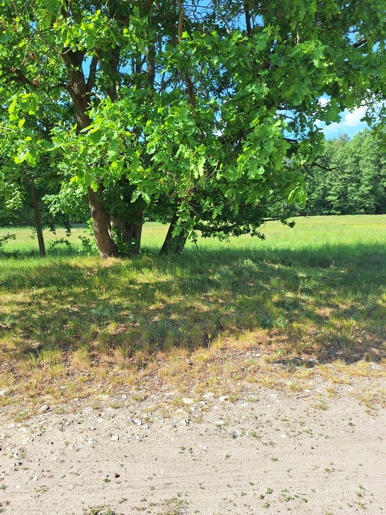 Działka na sprzedaż Tanowo 3 143 m2 | Arka Nieruchomości