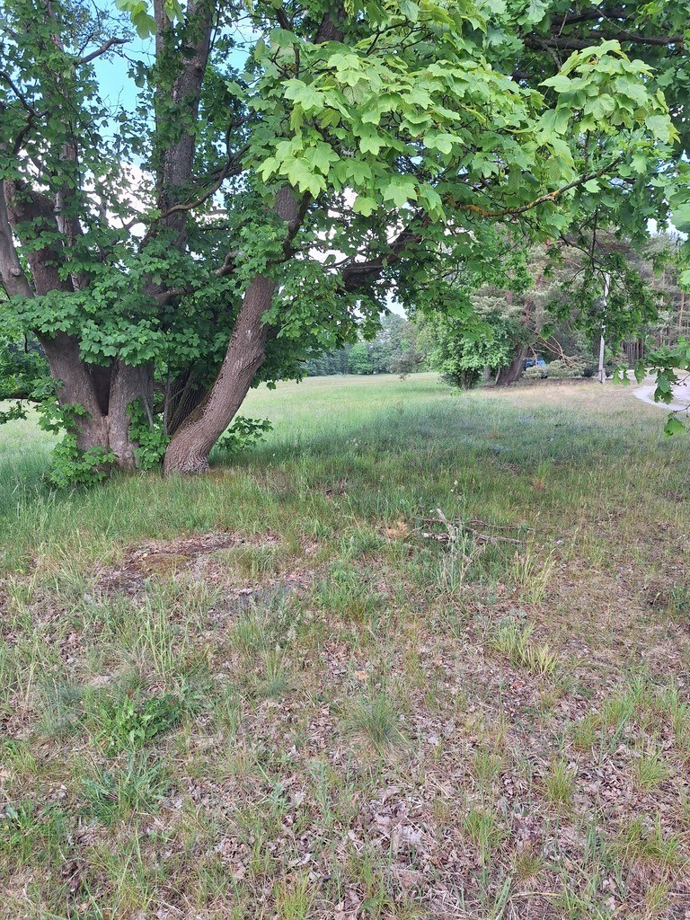 Działka na sprzedaż Tanowo 3 143 m2 | Arka Nieruchomości