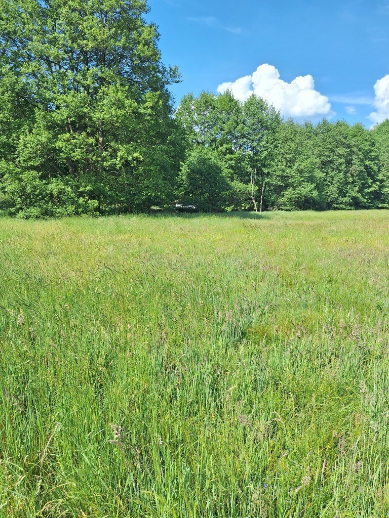 Działka na sprzedaż Tanowo 3 144 m2 | Arka Nieruchomości