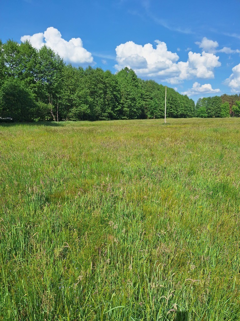 Działka na sprzedaż Tanowo 3 144 m2 | Arka Nieruchomości