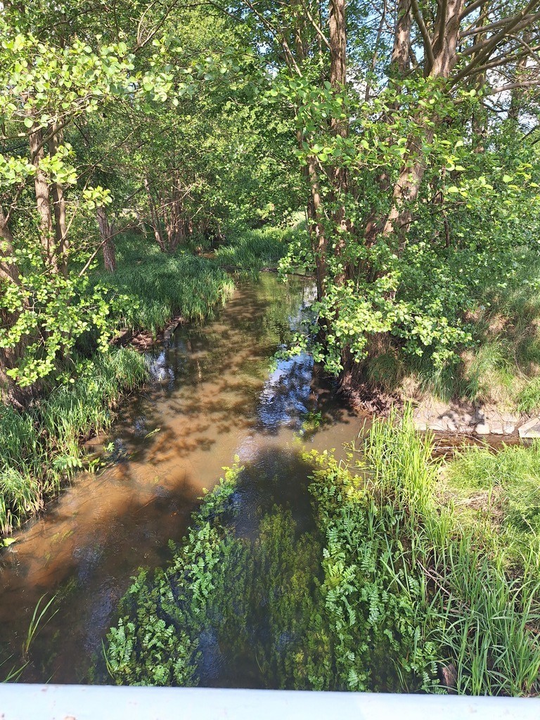 Działka na sprzedaż Tanowo 3 144 m2 | Arka Nieruchomości