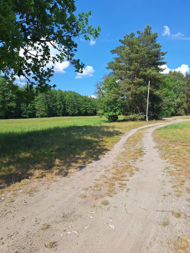 Działka na sprzedaż Tanowo 3 362 m2 | Arka Nieruchomości