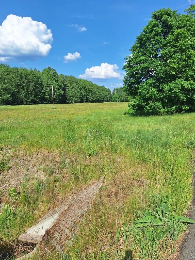 Działka na sprzedaż Tanowo 3 362 m2 | Arka Nieruchomości