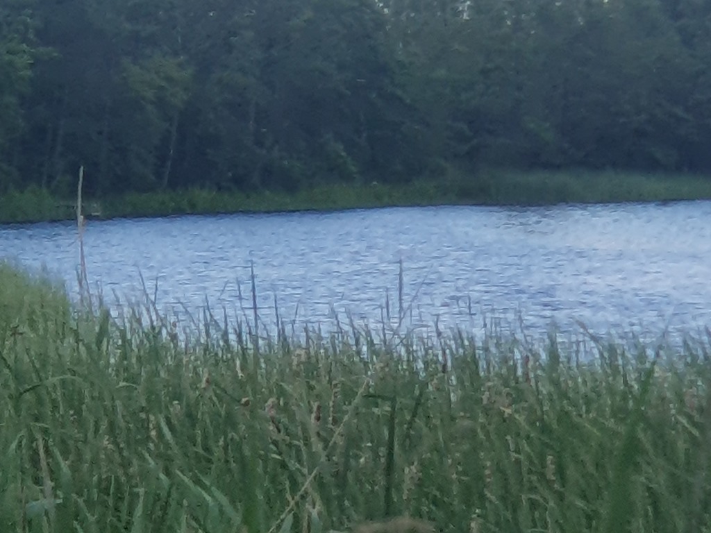 Działka na sprzedaż Zieleniewo 3 138 m2 | Arka Nieruchomości