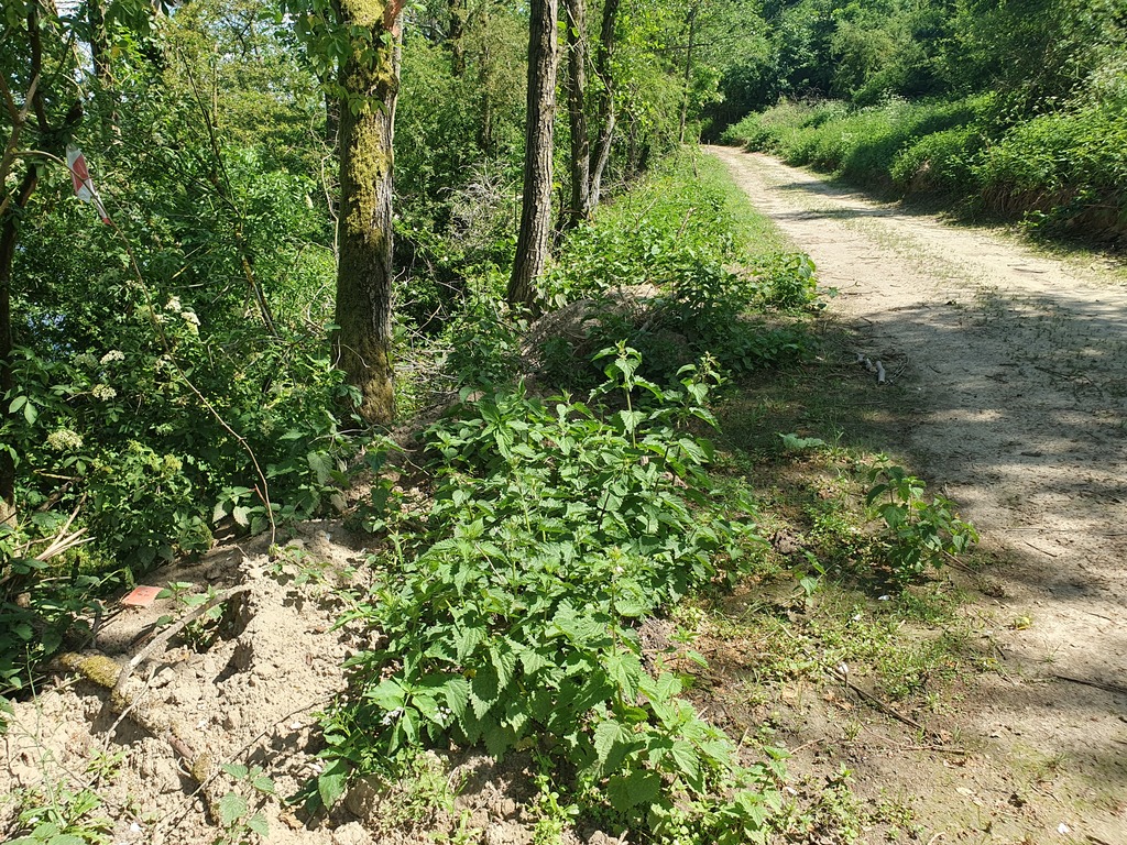Działka na sprzedaż Zieleniewo 3 030 m2 | Arka Nieruchomości