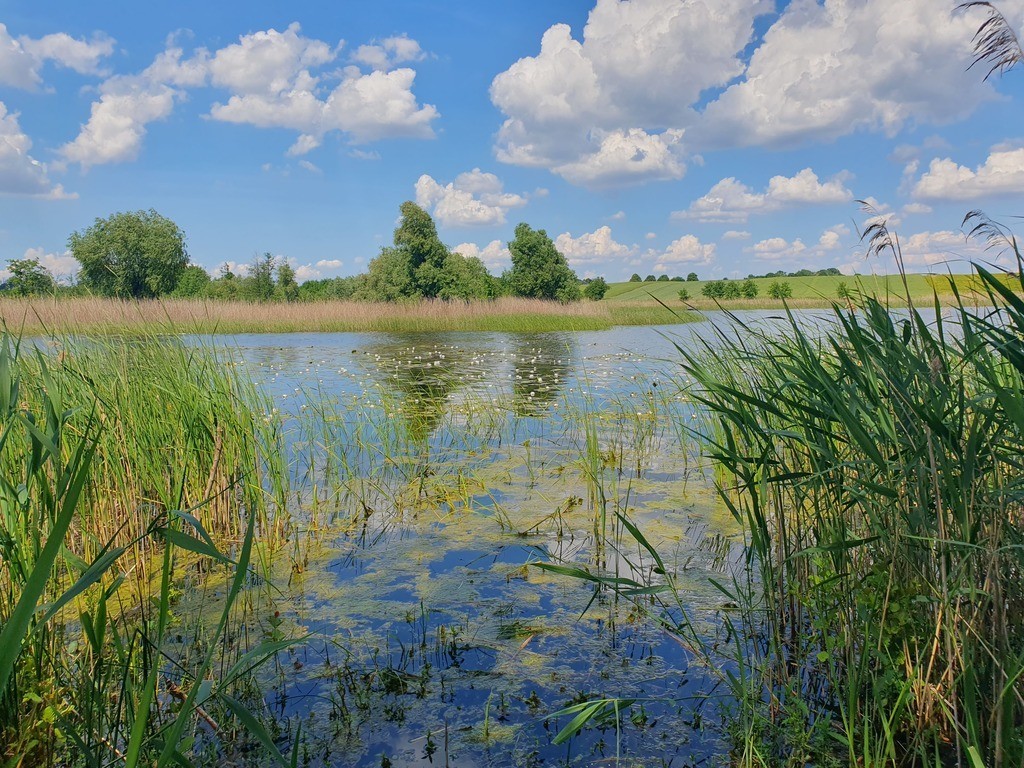 Działka na sprzedaż Zieleniewo 3 030 m2 | Arka Nieruchomości