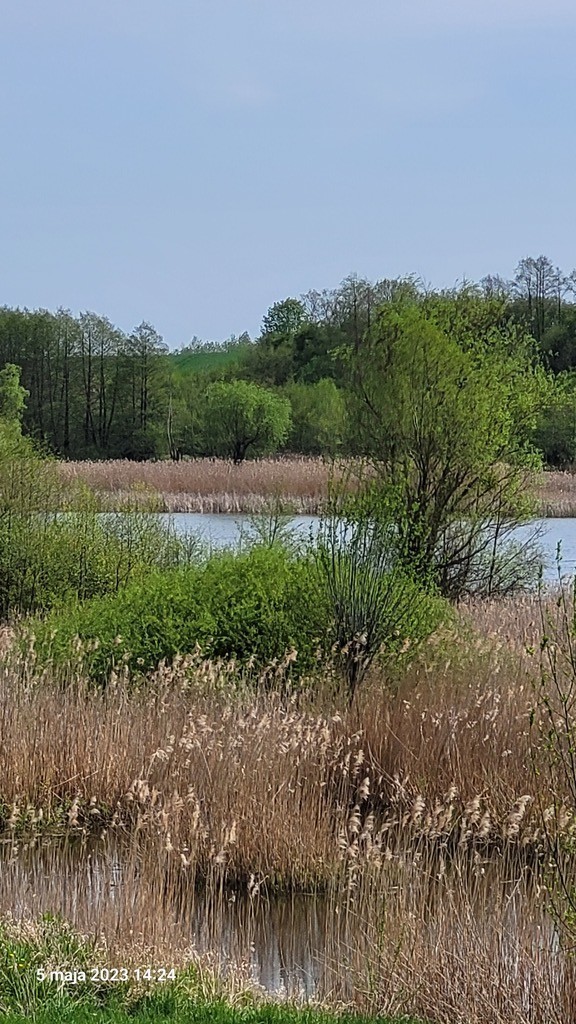 Działka na sprzedaż Zieleniewo 3 030 m2 | Arka Nieruchomości