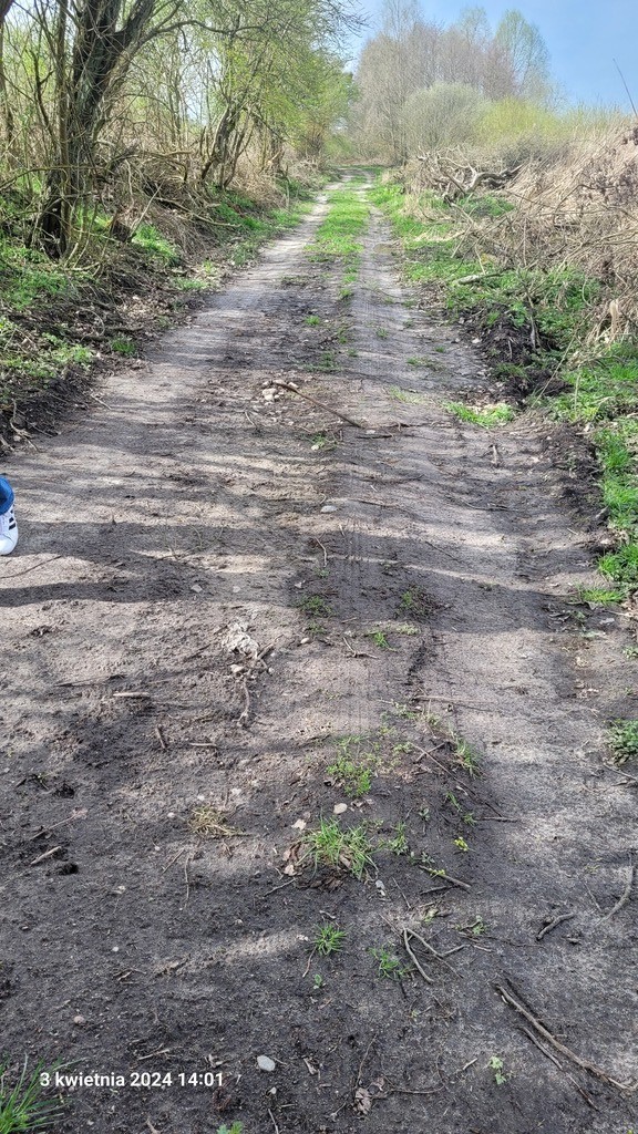 Działka na sprzedaż Zieleniewo 3 030 m2 | Arka Nieruchomości