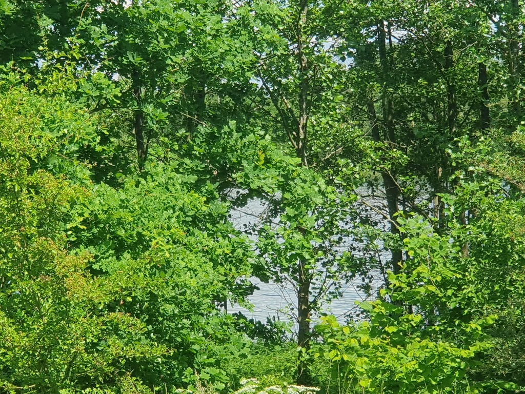 Działka na sprzedaż Zieleniewo 3 030 m2 | Arka Nieruchomości