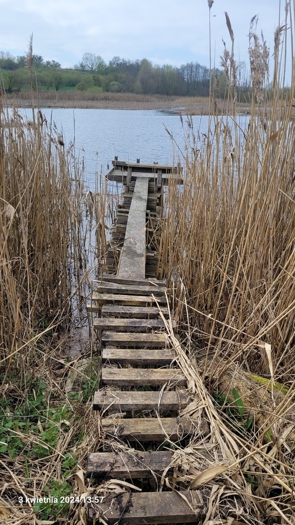 Działka na sprzedaż Zieleniewo 3 030 m2 | Arka Nieruchomości