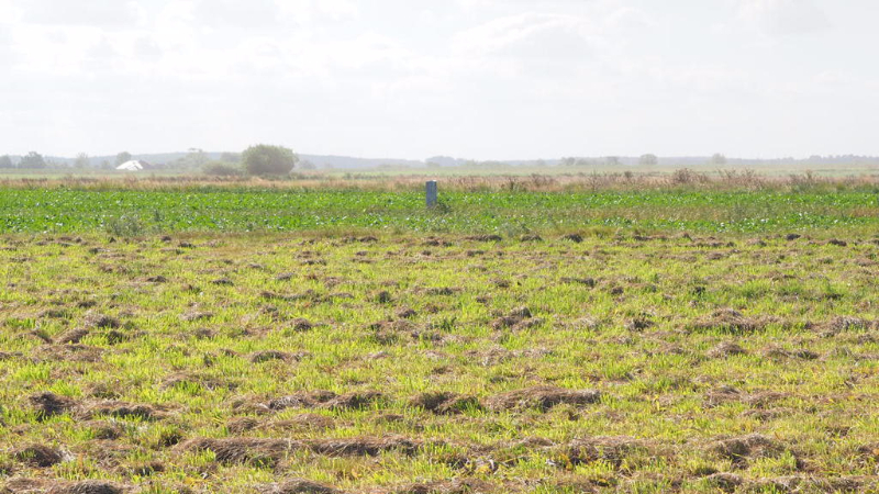 Działka na sprzedaż Śliwin 1 595 m2 | Arka Nieruchomości