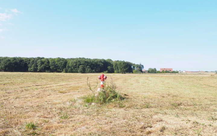 Działka na sprzedaż Śliwin 1 330 m2 | Arka Nieruchomości