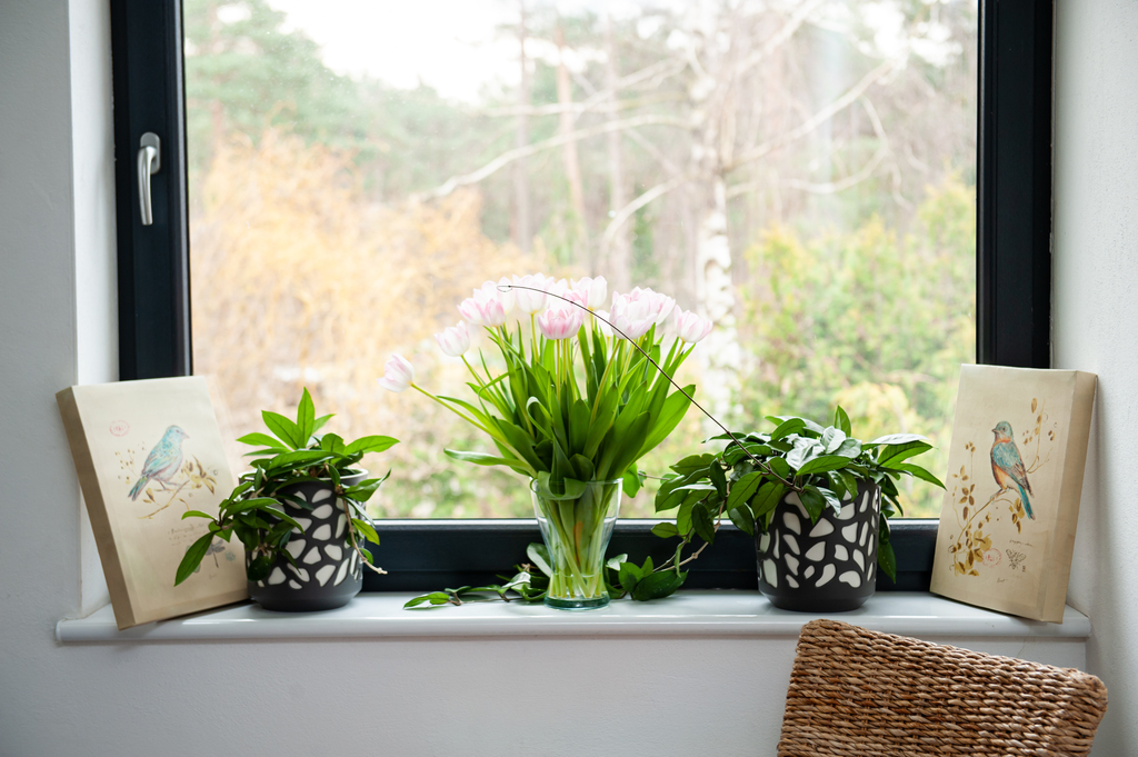 Obiekt na sprzedaż Niechorze 460 m2 | Arka Nieruchomości