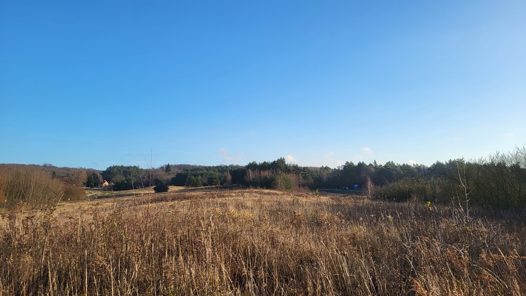 Działka na sprzedaż Szczecin, Żydowce 21 150 m2 | Arka Nieruchomości