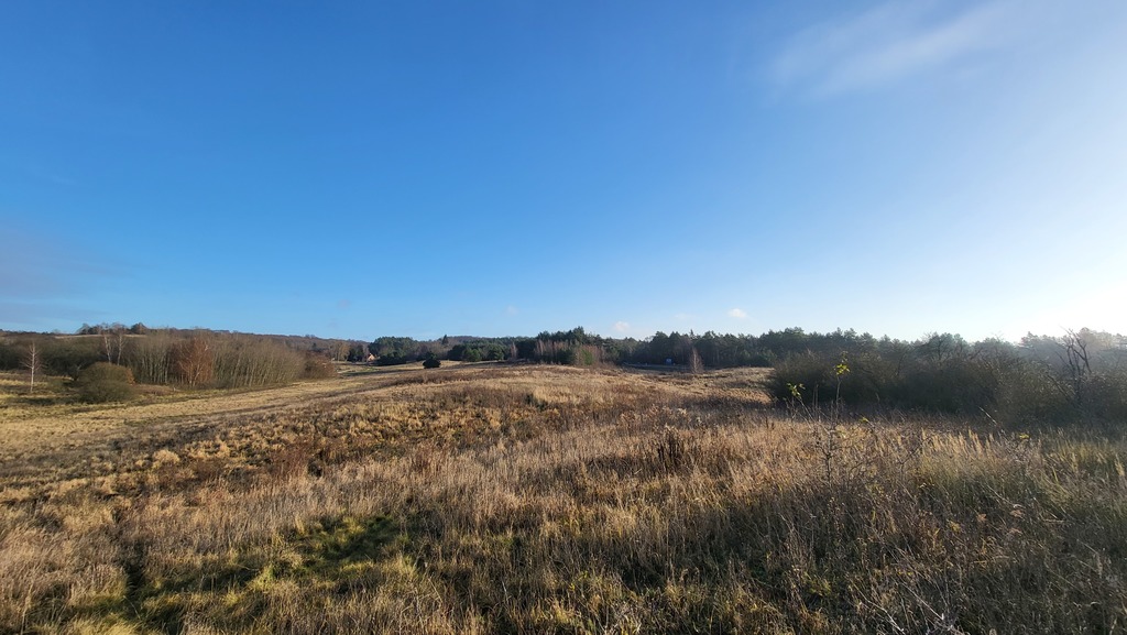 Działka na sprzedaż Szczecin, Żydowce 21 150 m2 | Arka Nieruchomości