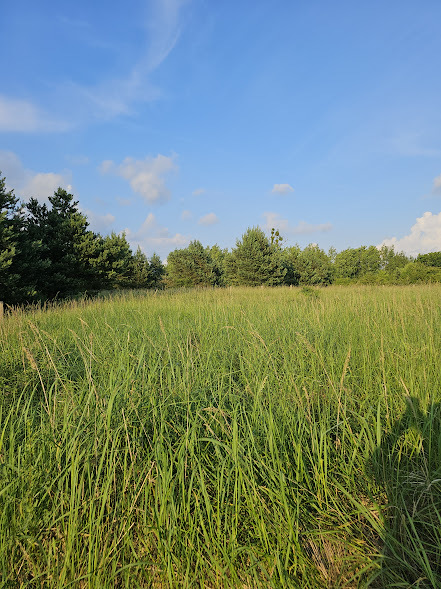 Działka na sprzedaż Kościno 7 778 m2 | Arka Nieruchomości