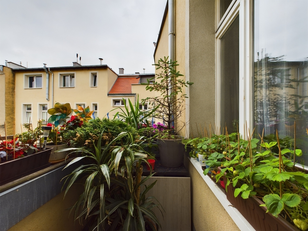 Mieszkanie na sprzedaż Szczecin, Centrum 90 m2 | Arka Nieruchomości